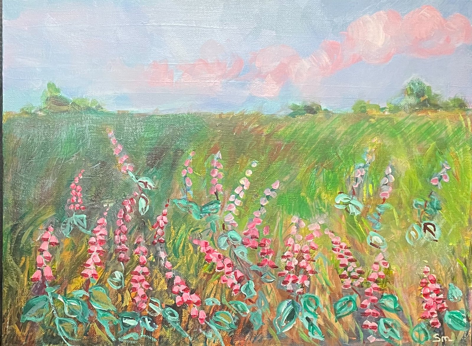 Foxgloves Under Rose Clouds