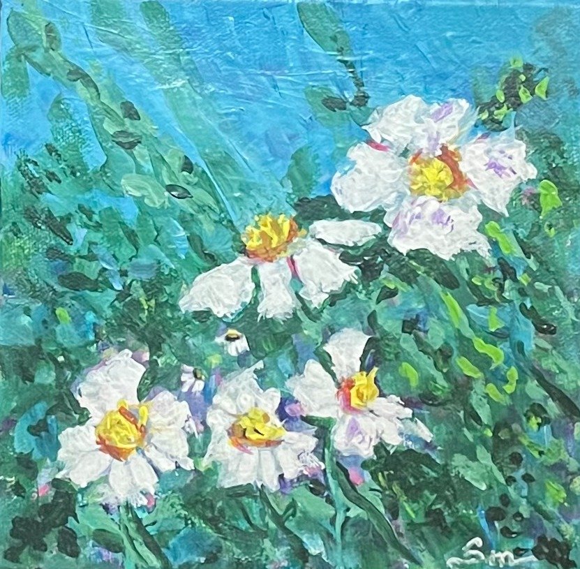 Summer Daisies